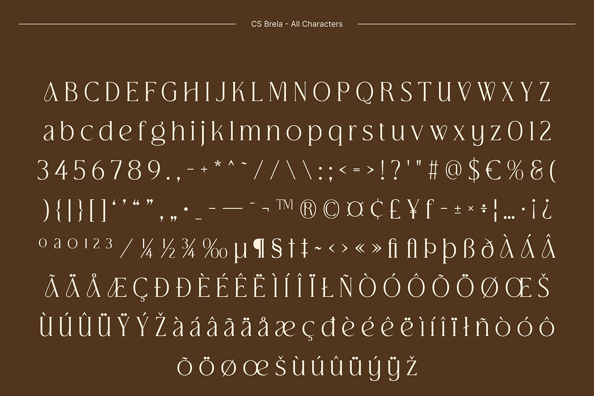 CS Brela – Elegant Serif Font, a Serif Font by Craft Supply Co. (Photo 8 of 8)