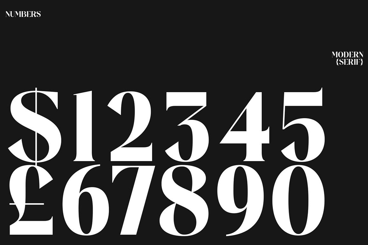 Plakent, a Serif Font by studiobasic (Photo 3 of 15)