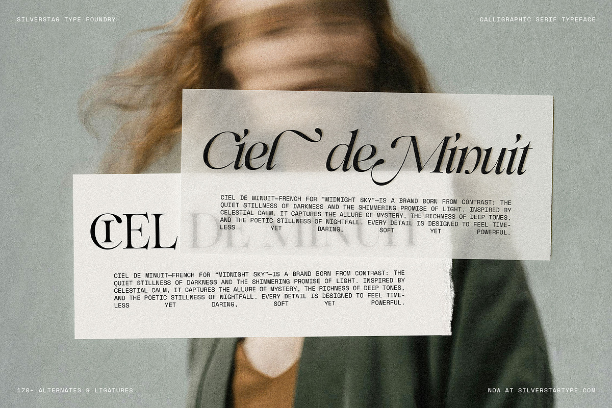 Netsera Calligraphic Serif Typeface, a Serif Font by SilverStag Type Foundry (Photo 24 of 30)