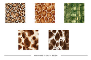 Animal Print Watercolor Designs, a Texture Graphic by karenfoleyphoto (Thumbnail 2 of 4)