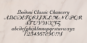 Bodoni Classic Initials, a Script Font by Wiescher-Design (Thumbnail 6 of 6)