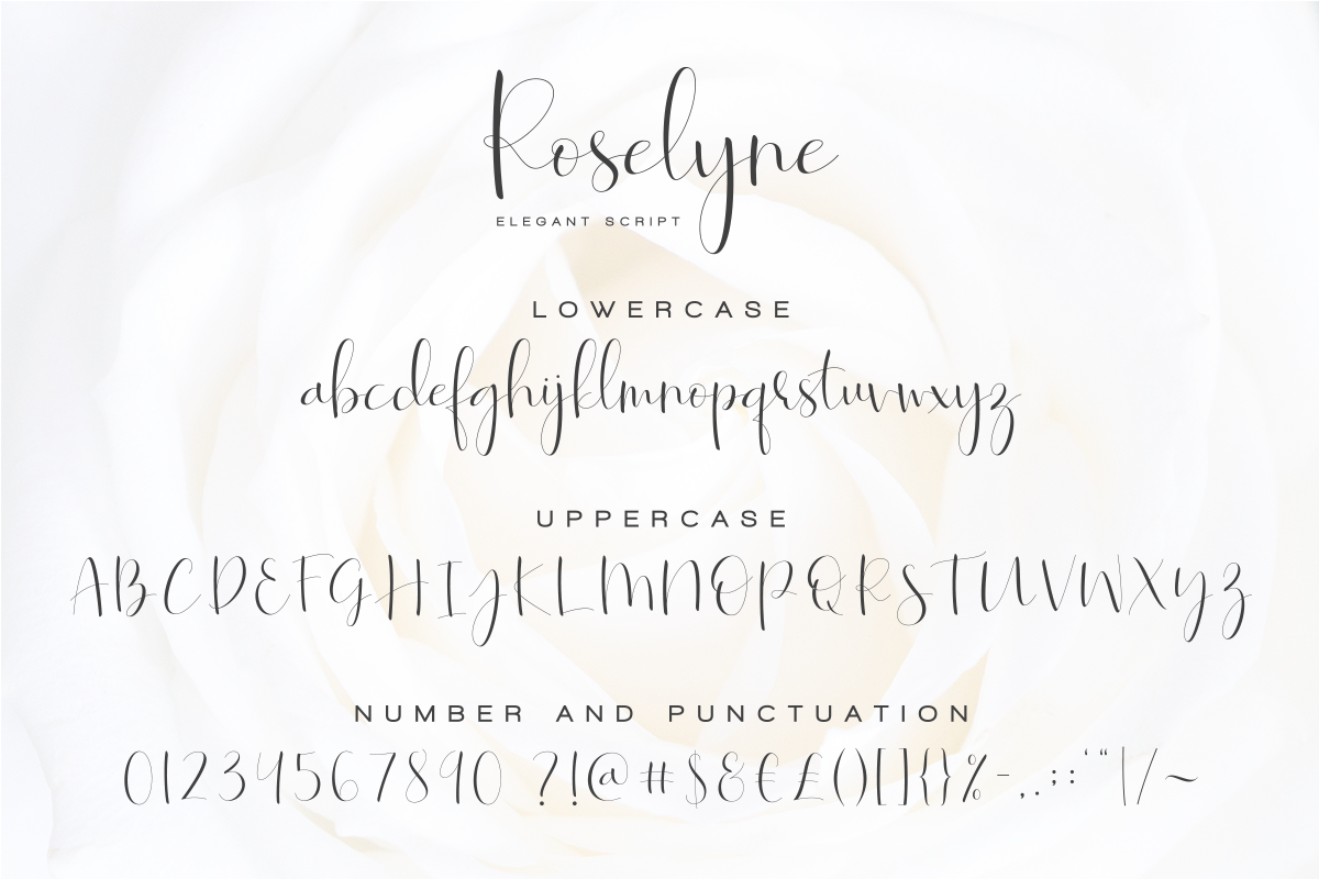 Roselyne - Caligraphy Script, a Script Font by Dharmas Foundry