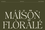 Dalbine Disco, a Serif Font by Craft Supply Co. (Thumbnail 6 of 8)