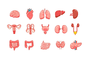 Human Organs Icon Set, an Outline Icon by Sinando Studio (Thumbnail 3 of 3)