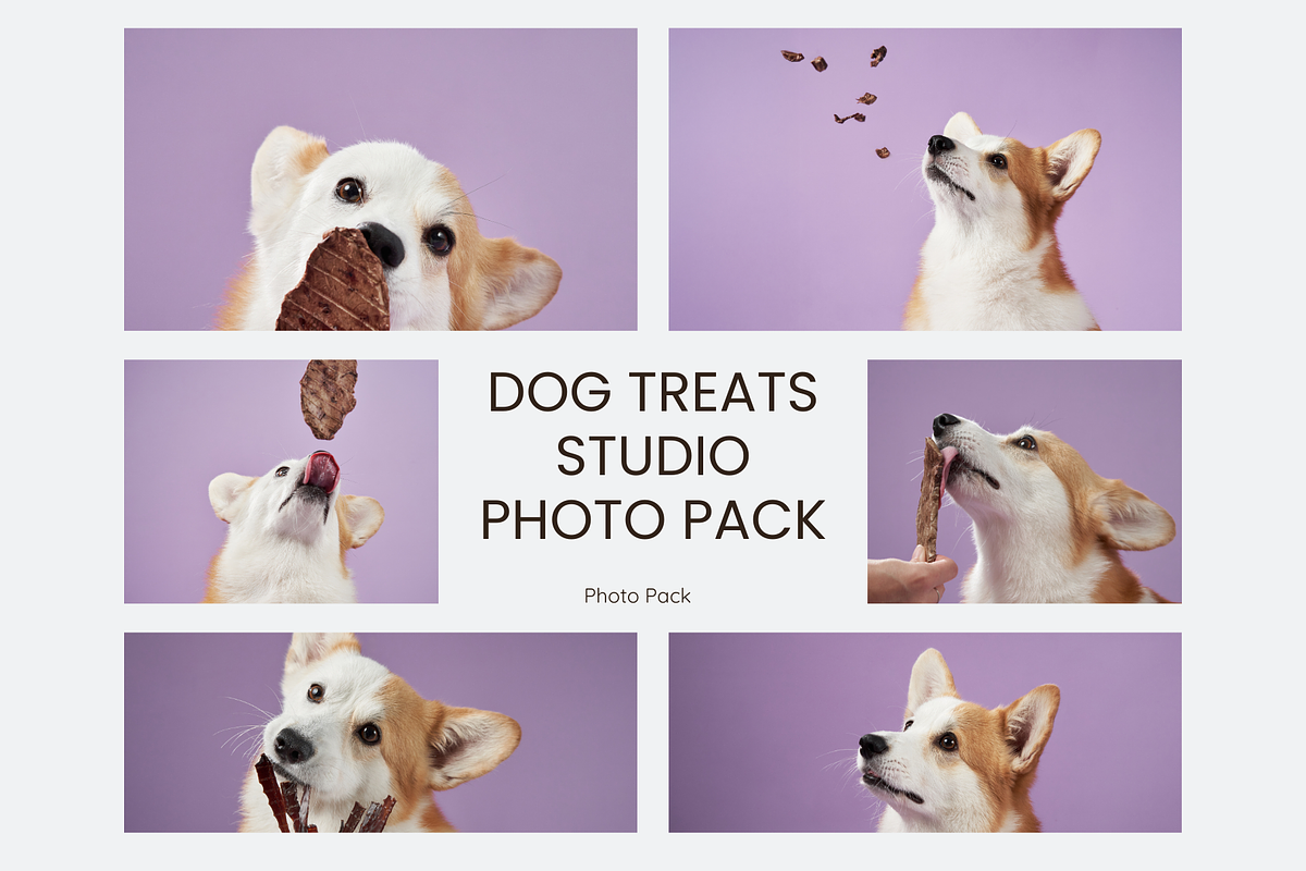 Dog Treats Studio Photo Pack, an Animal Photo by Animalistica (Photo 1 of 3)