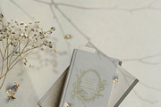 Ornamental Frames & Flowers, a Decorative Illustration by BlumenSoul (Thumbnail 10 of 12)