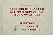 Magnavella Display Serif Font, a Serif Font by Rasio Studio (Thumbnail 2 of 9)