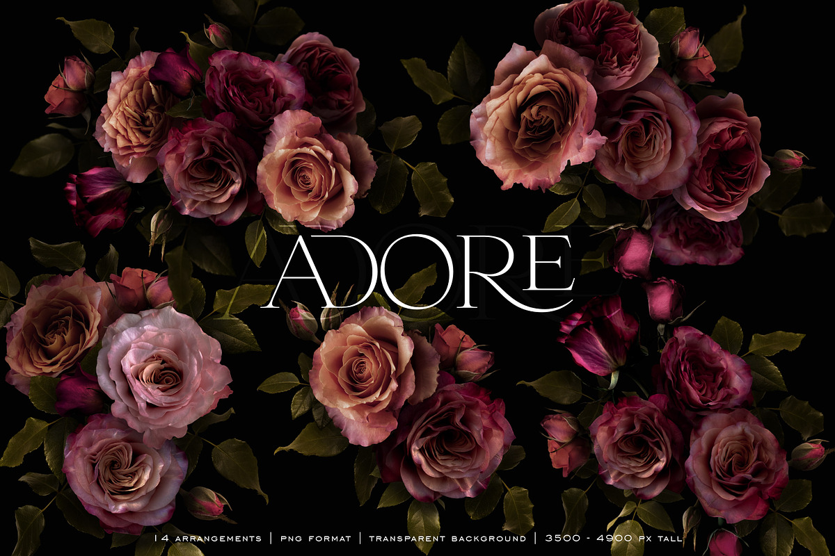 Adore Realistic Romantic Roses, an Object Graphic by Eclectic Anthology (Photo 5 of 11)