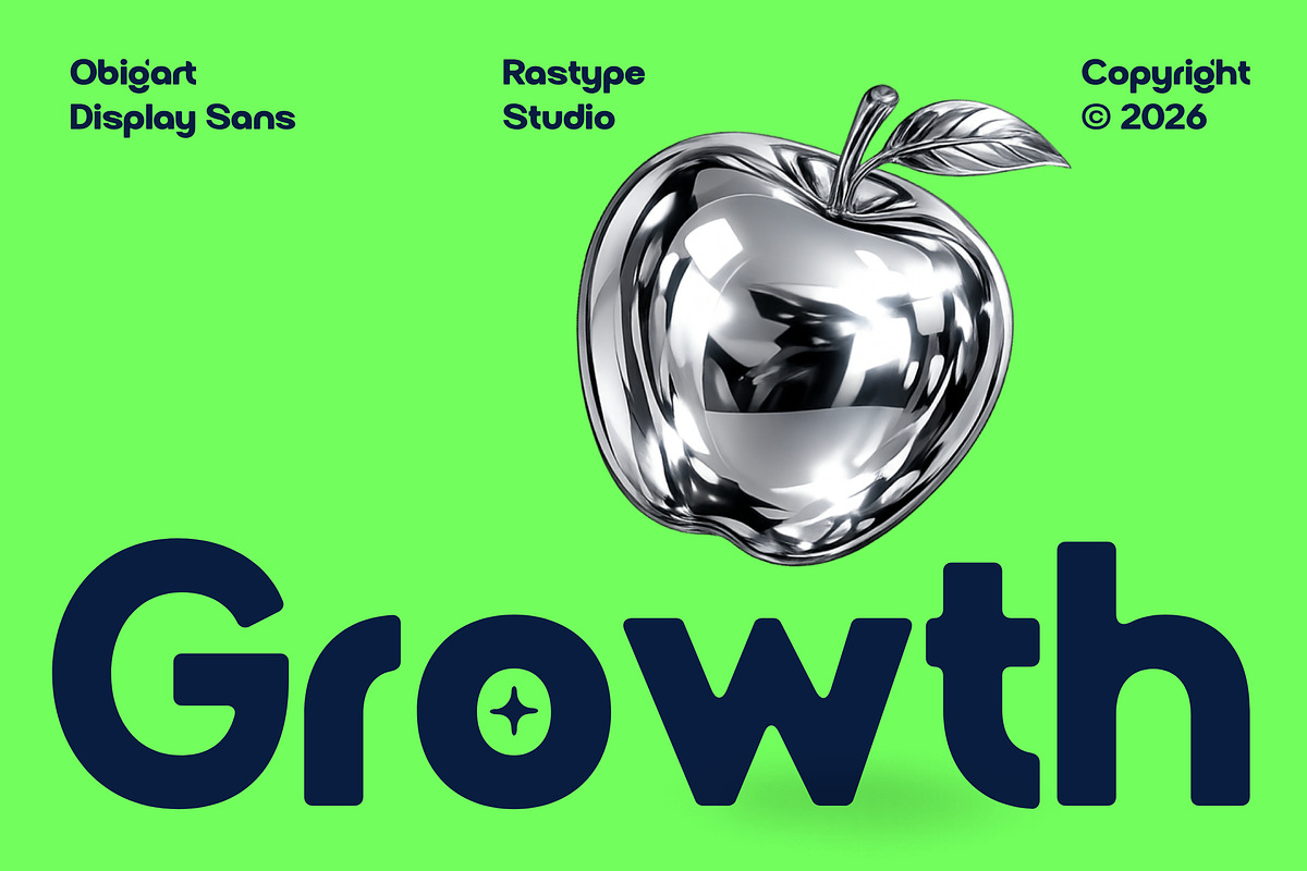 Obigart - Family Font, a Sans Serif Font by Rastype (Photo 11 of 13)
