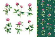 Watercolour wild nature, a Pattern Graphic by Sundra (Thumbnail 14 of 19)