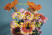The Directors Italic Typeface, a Script Font by Tropical Type (Thumbnail 2 of 10)