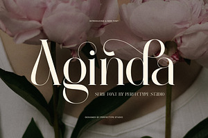 Aginda Elegant Serif Font