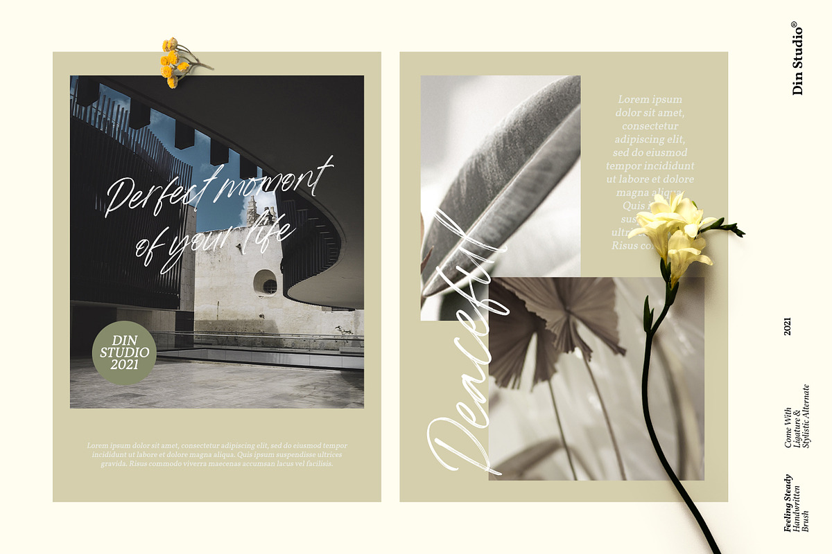 Feeling Steady, a Script Font by din-studio.com (Photo 3 of 10)