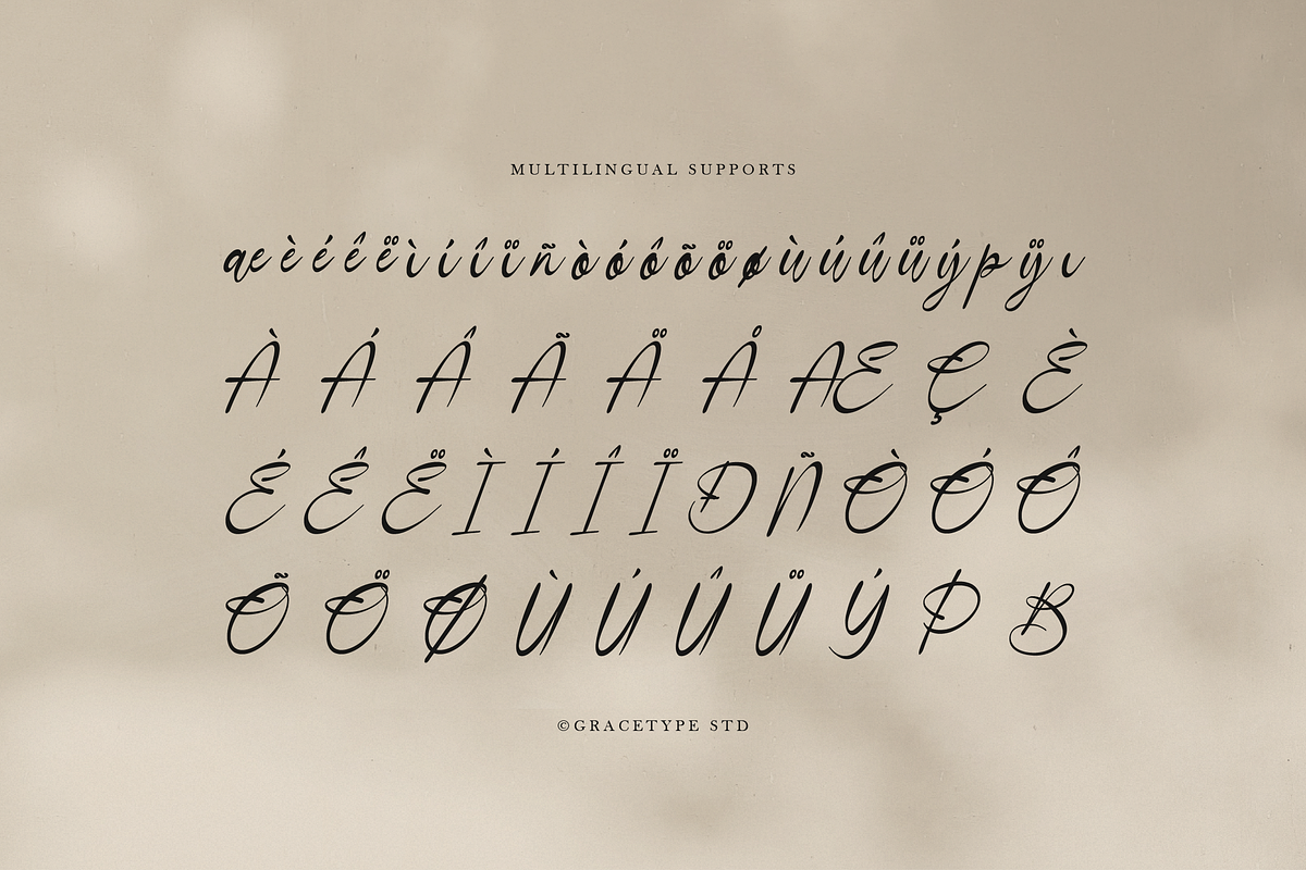 Danthalion Elegant Signature Script, a Script Font by gracetype_studio (Photo 11 of 12)