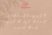 Heater Bellamore Signature Handwriti, a Handwritten Font by CreateBigSupply (Thumbnail 10 of 10)