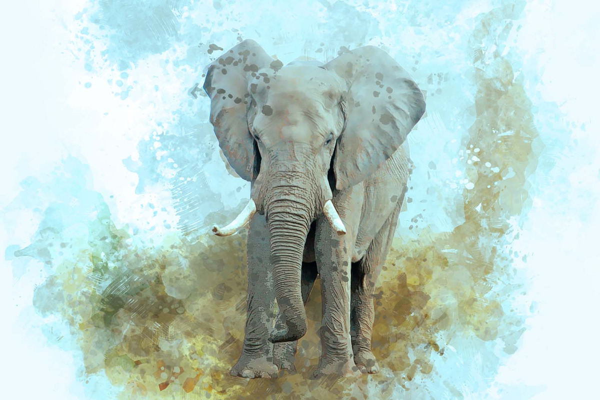 Animal Digital Painting Photo Effect, an Action Add-On by MRI STUDIO (Photo 7 of 12)