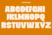 Bleks Display font, a Serif Font by maybefont (Thumbnail 2 of 10)