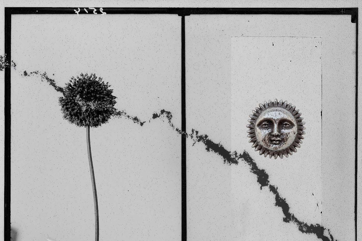 Mystic Botanical & Nature Relics, an Object Graphic by Natali Batu (Photo 10 of 12)