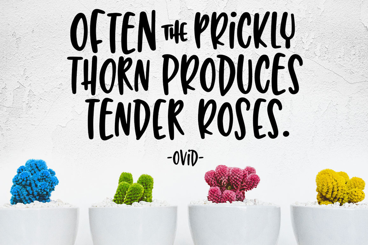 Succulent: a hand-lettered font preview 7