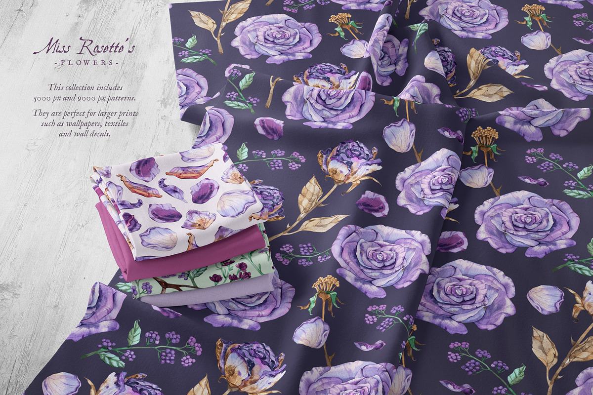 Purple Roses - Watercolour Clipart, a Decorative Illustration by Aquarellina (Photo 13 of 14)
