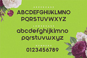 Blont | Modern & Clean Logo Font, a Sans Serif Font by 160 Studio (Thumbnail 8 of 13)