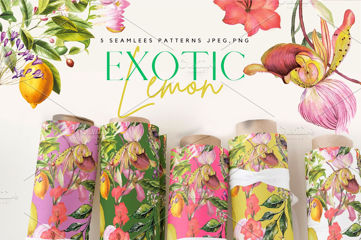The Exotic Lemon Collection, an Object Illustration by Alisa Mikibith Art (Photo 2 of 18)