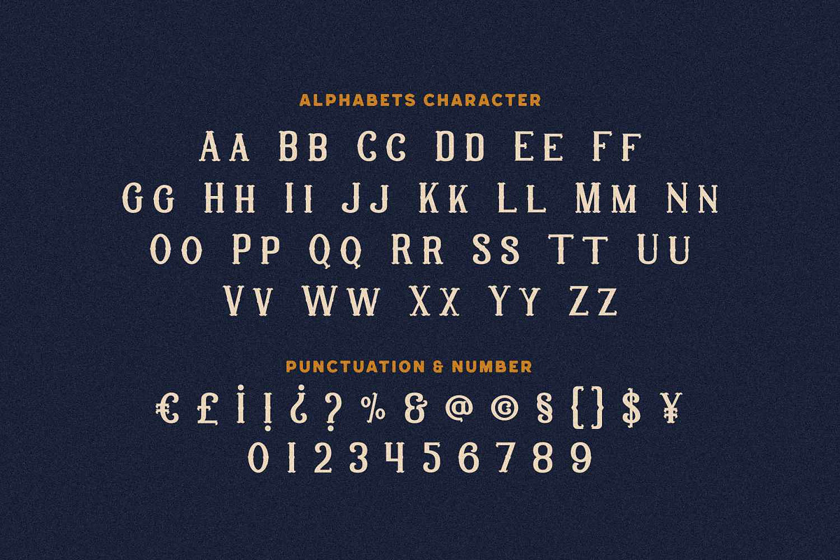 Bakic Shomeryg - Victorian Serif, a Serif Font by Imoodev (Photo 5 of 5)
