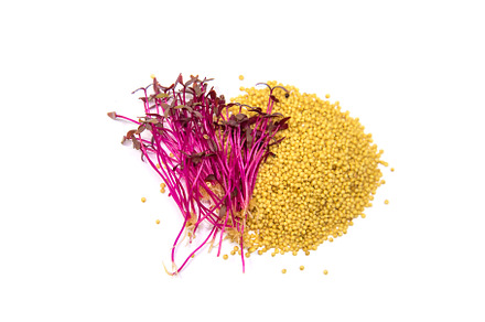 Microgreens amaranth isolate on a, a Food & Drink Photo by yanadjana