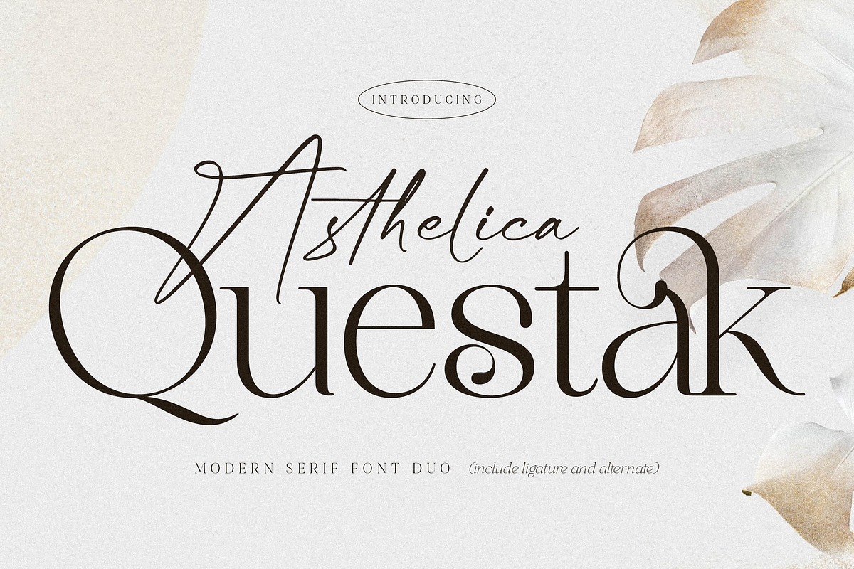 Asthelica Questak Modern Font Duo, a Serif Font by Storytype Studio (Photo 1 of 15)