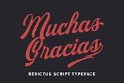 Revictus Script, a Script Font by Letterhend Studio (Thumbnail 9 of 9)