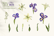 White Lily and Blue Iris set, a Decorative Illustration by L- design studio (Thumbnail 3 of 9)