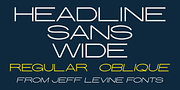 Headline Sans Wide JNL, a Sans Serif Font by Jeff Levine Fonts (Thumbnail 1 of 5)