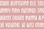 20 FONTS - BRUSH FONT BUNDLE, a Sans Serif Font by Blush Font Co. (Thumbnail 4 of 16)
