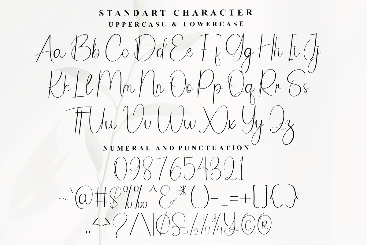 Christmas Butterfly, a Handwritten Font by InermediaSTUDIO (Photo 2 of 8)