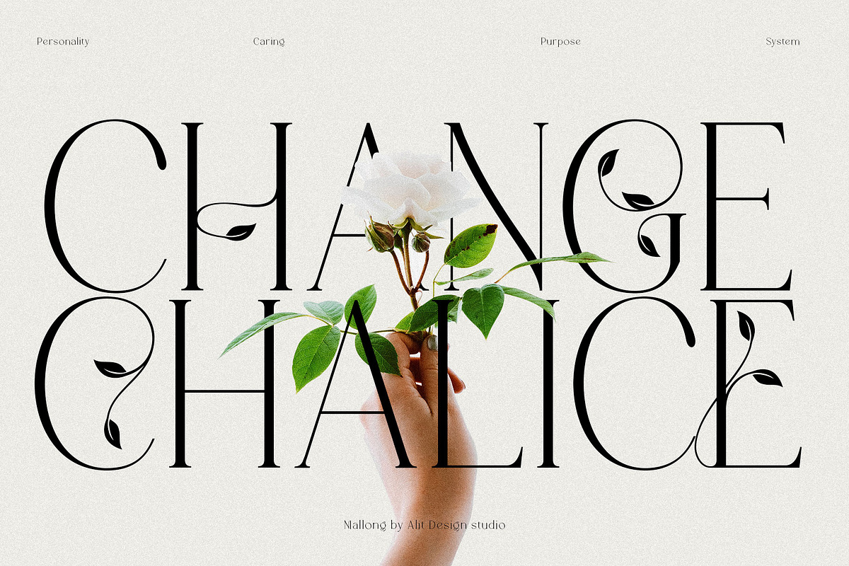 Mallong Typeface, a Serif Font by alit design (Photo 3 of 17)
