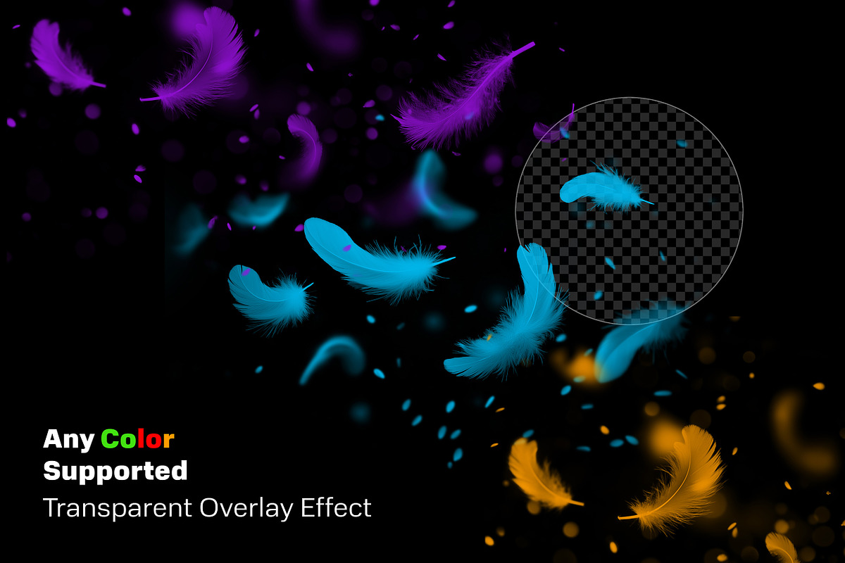 Feather Falling PS Brush v1, a Brush Add-On by INTENTFX (Photo 5 of 6)