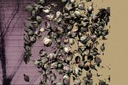Mystic Autumn Botanical Grain, a Background Graphic by Anzhelika (Thumbnail 4 of 12)