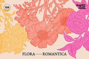 Flora Romantica Vector Florals