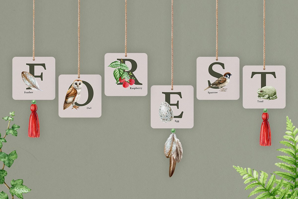 Forest Alphabet Watercolor Clipart, an Education Illustration by AnitaPol (Photo 7 of 12)
