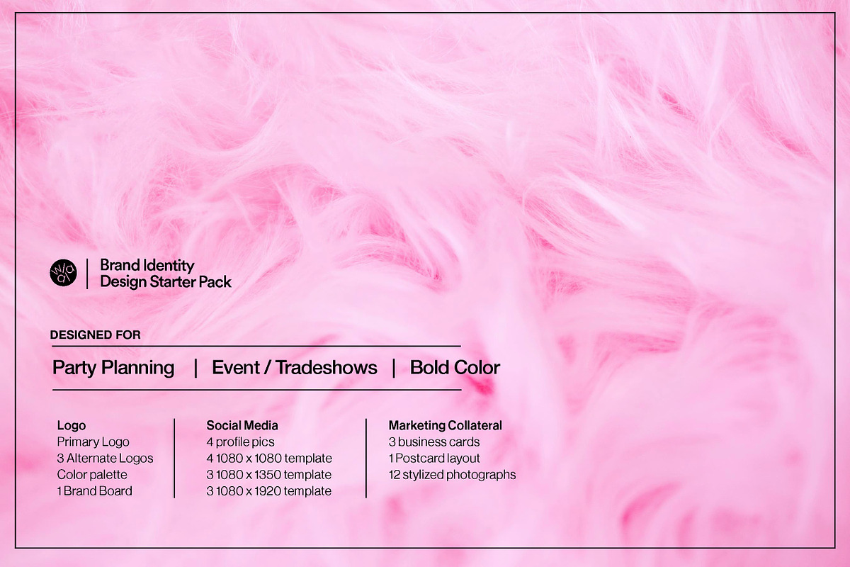 Brand Starter Pack: Big Bold Color, a Branding & Logo Template by Walla Marketplace (Photo 1 of 13)