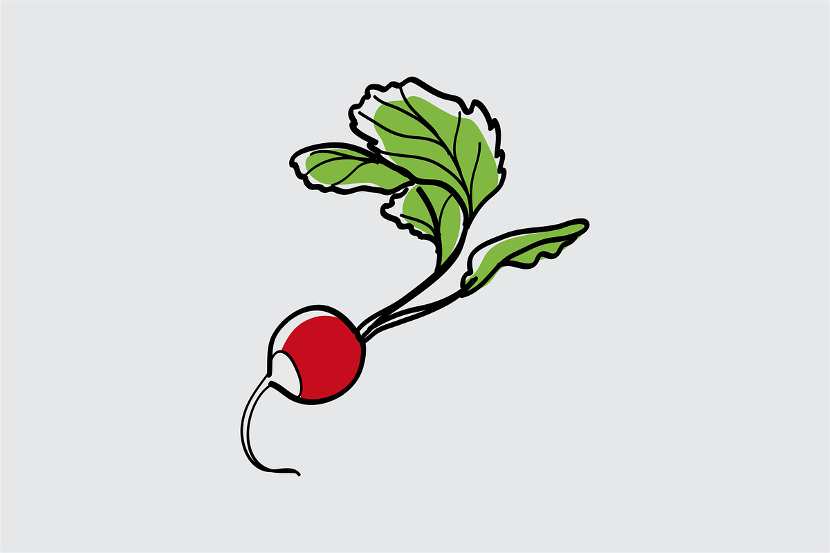 Vegetables 25 types of garden plants, an Object Graphic by Vintage Font Lab (Photo 10 of 26)