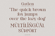 Gavien _ Ligature Serif Font, a Serif Font by Penatic Studio (Thumbnail 10 of 10)