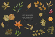 Fall watercolor illustrations, a Seasonal Illustration by AS Studio (Thumbnail 4 of 5)