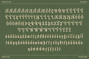 Majestic Letters, a Serif Font by Abbasy Studio (Thumbnail 5 of 11)