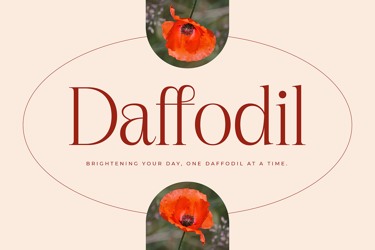 Nagista Modern Serif Font, a Serif Font by Letterena Studios (Photo 3 of 15)