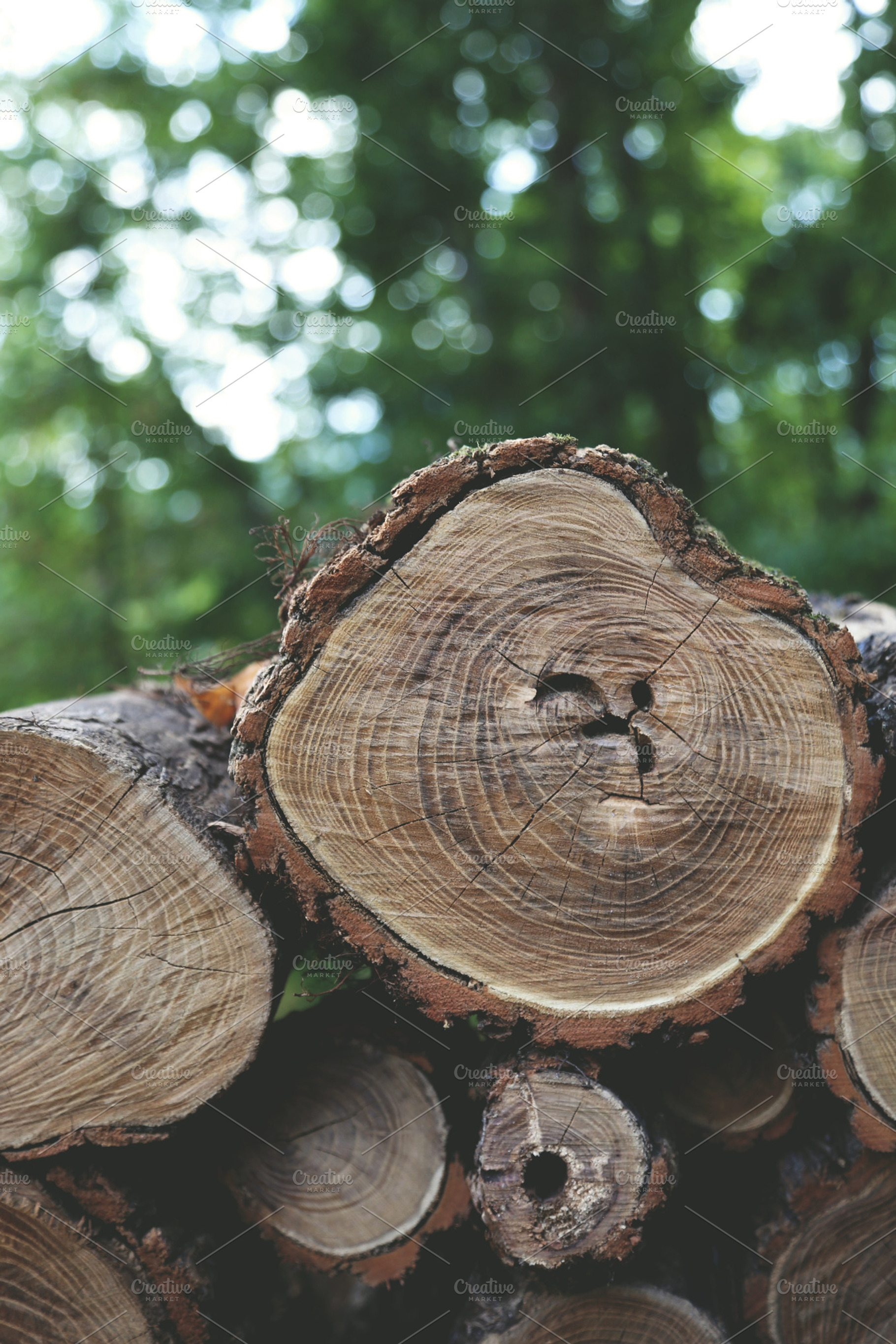 Wood Stack, a Background Photo by BrightShadow Photo Art