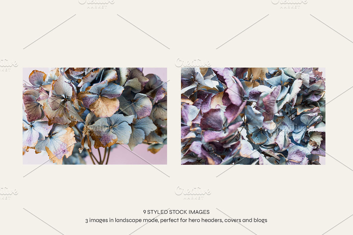 Hydrangea Love | Styled Photo Bundle, a Nature Photo by The Responsible Creatives (Photo 4 of 6)