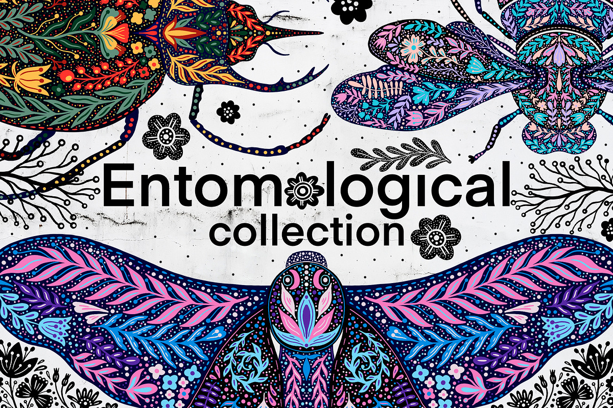 Entomological collection insect, a Decorative Illustration by Moonflora (Photo 1 of 13)