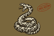 Vintage rattlesnake illustration, an Animal Illustration by lettett (Thumbnail 1 of 3)