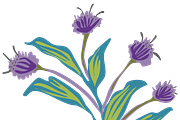 Flower Clip Art 27 Elements, an Illustration by Karen Fields Design (Thumbnail 2 of 3)